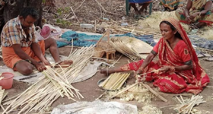 बांस क्रांति: औपनिवेशिक कानून की मुक्ति से 'हरा सोना' बनी ग्रामीण आजीविका