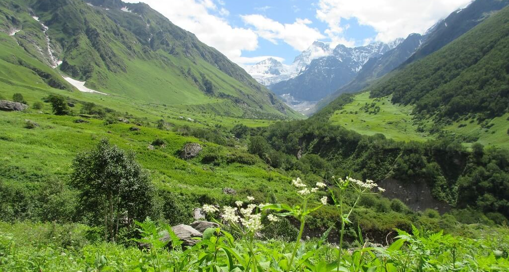 Nature Conservation & Eco-Tourism Guide Training Launched under Green Skill Development Programme
