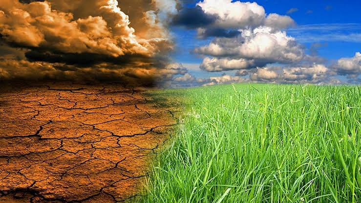 जलवायु परिवर्तन का दोहरा प्रहार: गर्मी से घटता जल और जंगल, वर्षा का बदलता मिजाज बढ़ा रहा संकट