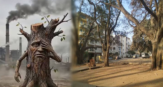 कंक्रीट के जंगलों में हांफते पेड़ और जलवायु संकट: क्या बचा पाएंगे हम अपने शहरों की हरी सांसें?