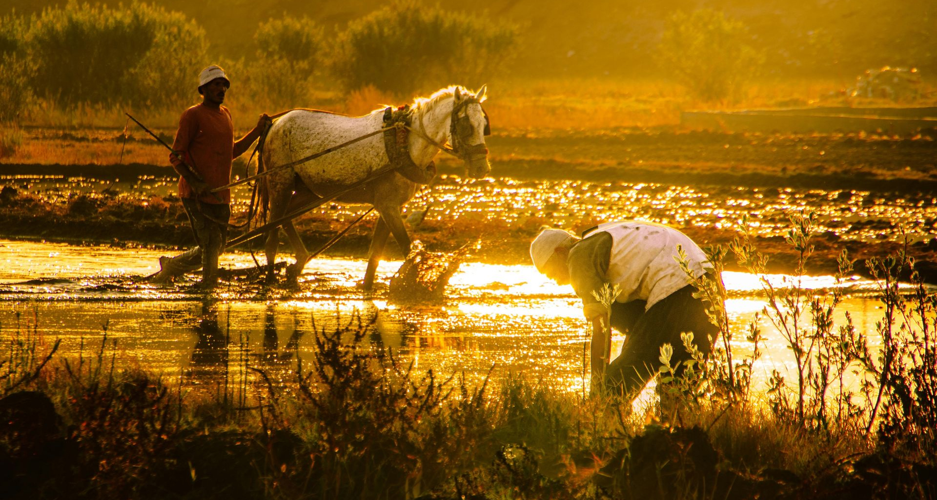 Earth Day Warning: WMO and FAO Report Highlights Extreme Heat as a Global Threat to Agriculture and Livelihoods
