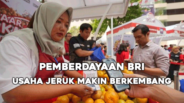 Pemberdayaan BRI Usaha Jeruk Makin Berkembang